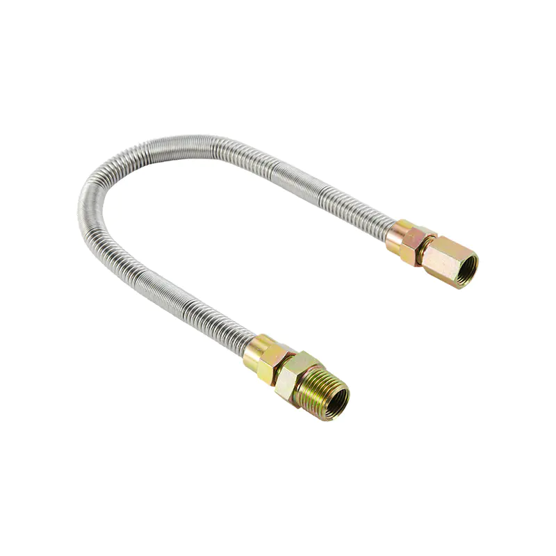 Connecteur de gaz sans sifflet en acier inoxydable DN10