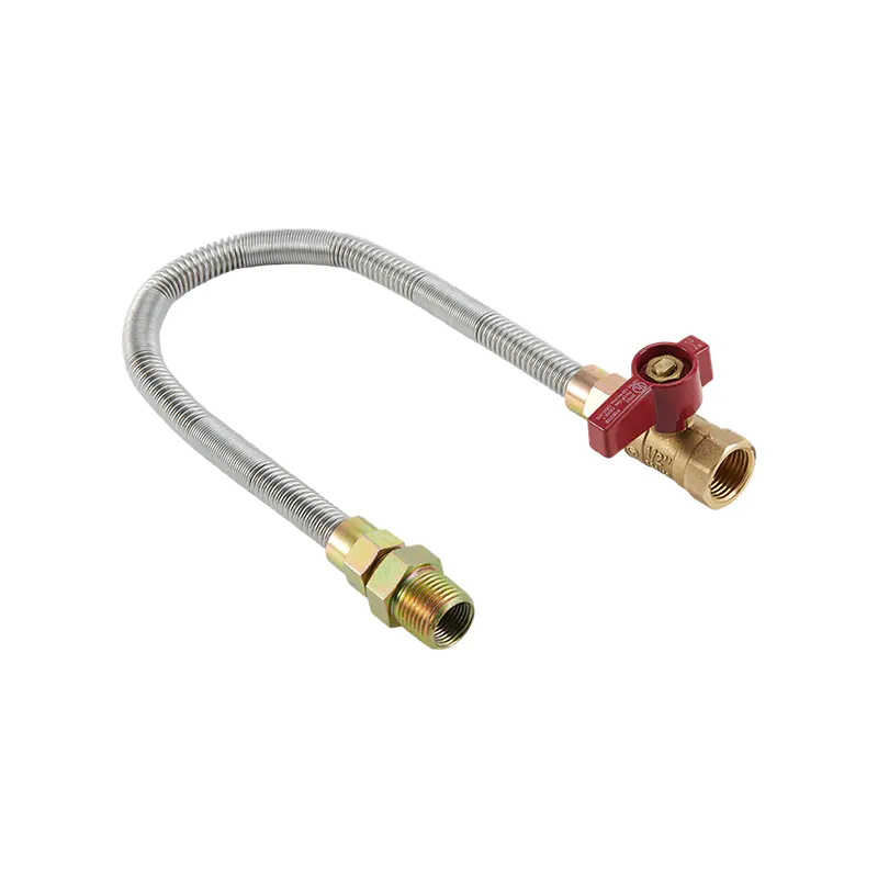 Connecteur de gaz sans sifflet en acier inoxydable DN12