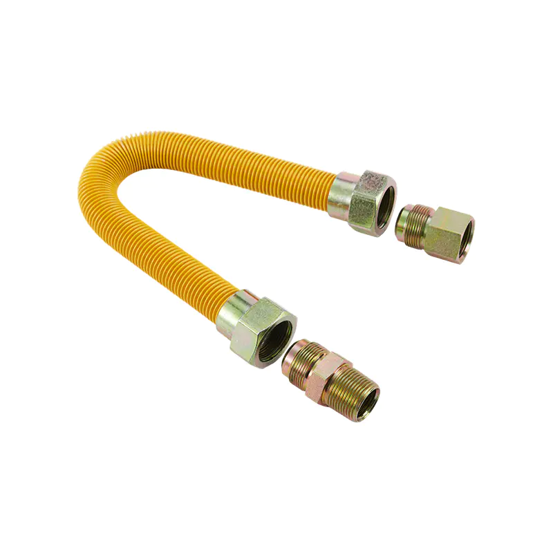 Connecteur de gaz en acier inoxydable DN25