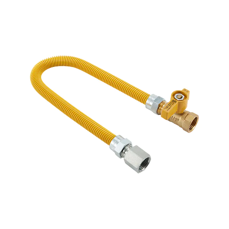 Connecteur de gaz en acier inoxydable DN20