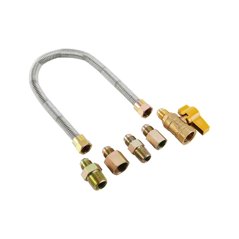Connecteur de gaz sans sifflet en acier inoxydable DN20
